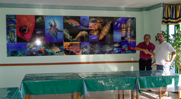 Un mural con fotos de enelmar.es decora el restaurante El Trasmallo en Garachico