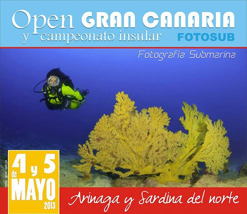 Arturo Telle y Laura Molina ganadores del Campeonato Insular de Gran Canaria de Fotosub 2013