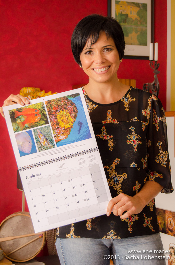 Ya a la venta el calendario 2014 de enelmar