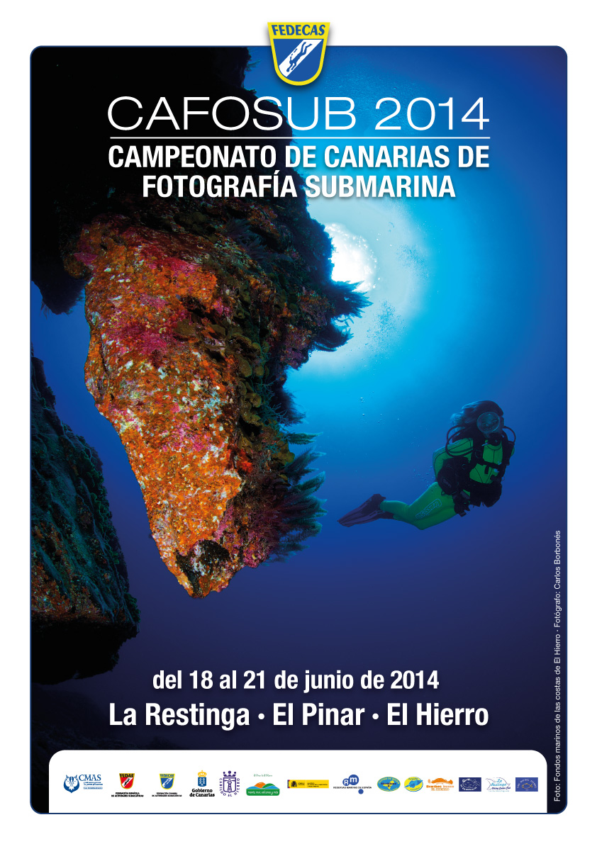 El Hierro acoge el Campeonato de Canarias de Fotografía Submarina (CAFOSUB 2014)