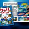 Guía práctica de los Peces de Canarias (Din-A5) - Imagen 2