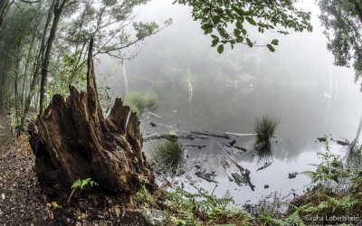 Escapadita a La Gomera